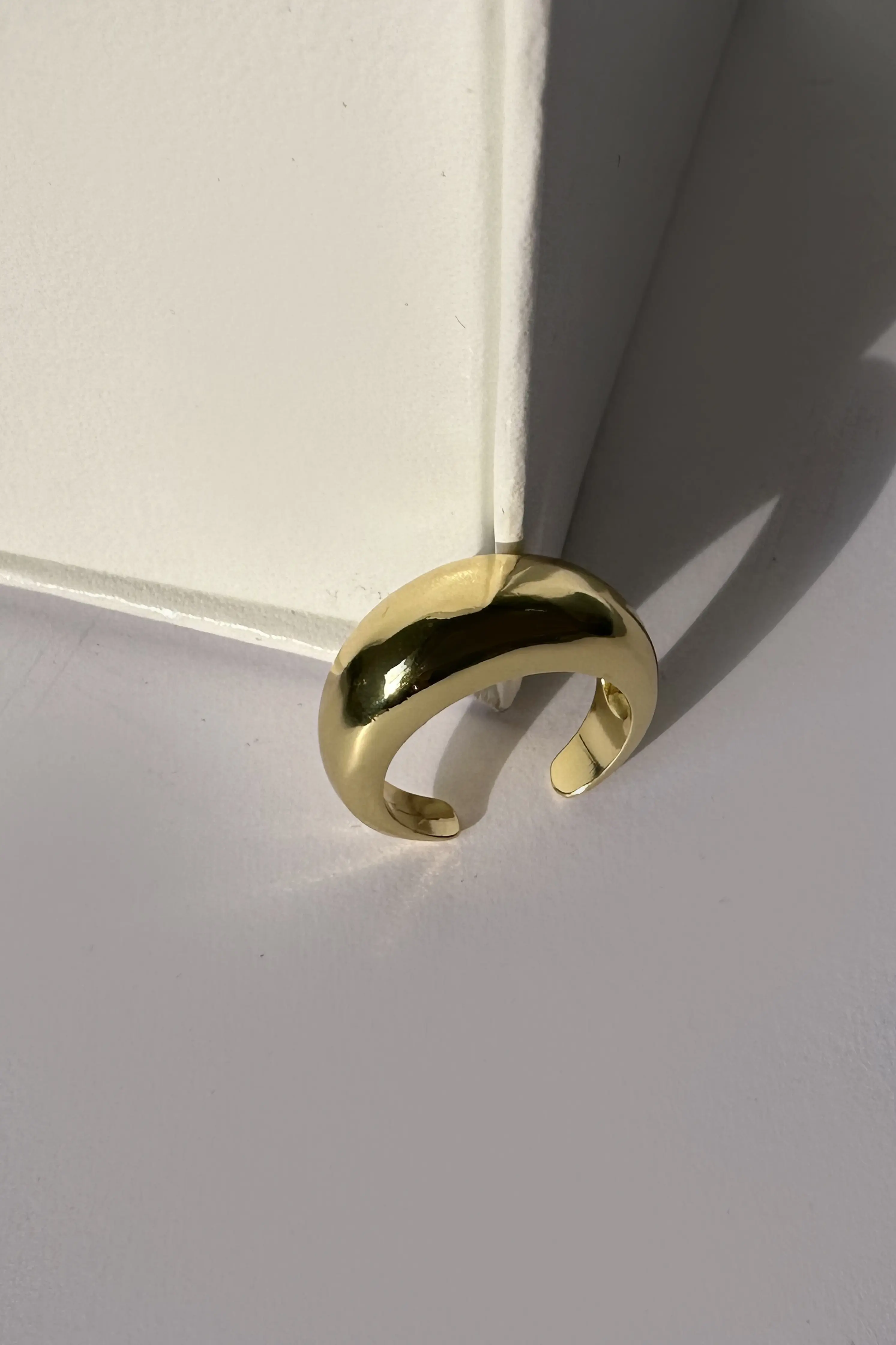 Sean Ring - Image 2